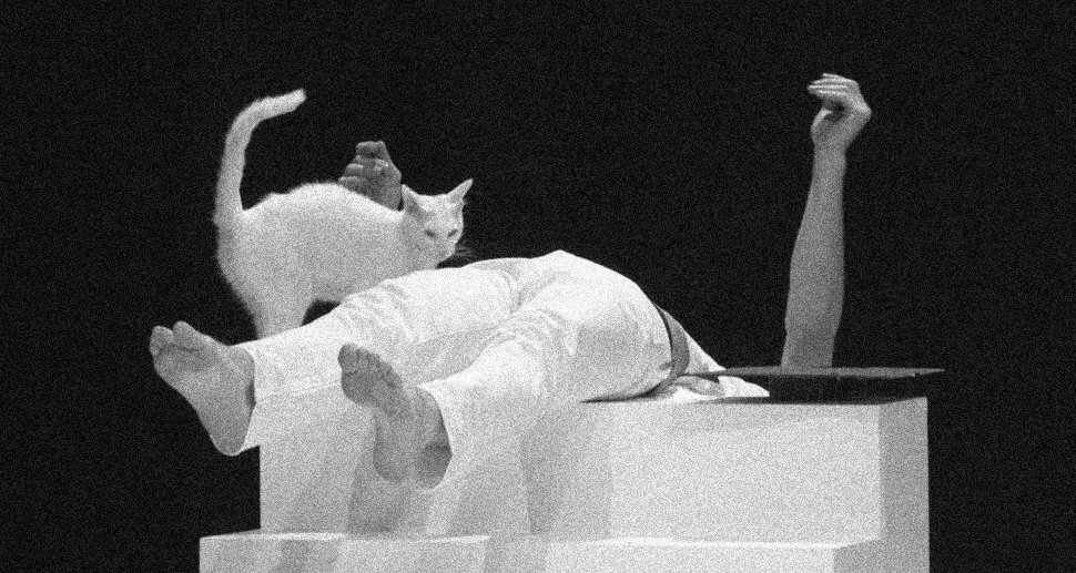 Les Imprédictibles performance